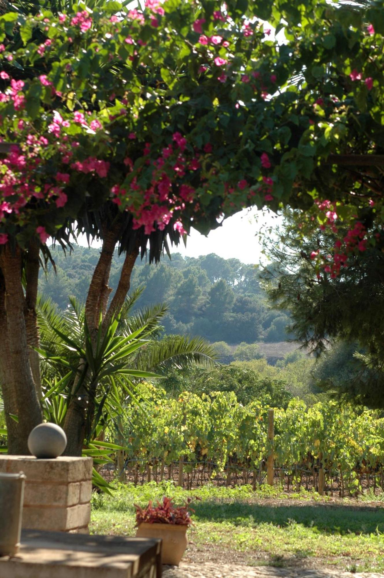 Oliver Moragues Grandhouse & Vineyard Algaida  Exterior foto